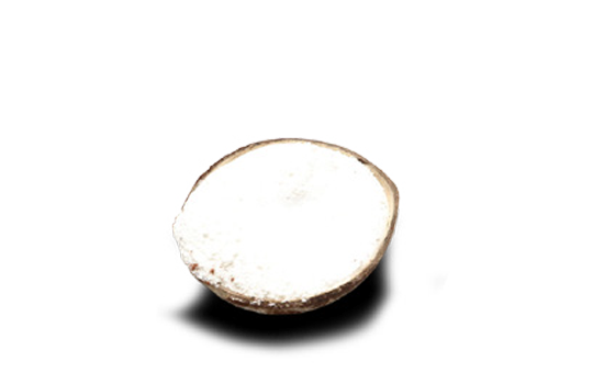 Frutta di Cocco