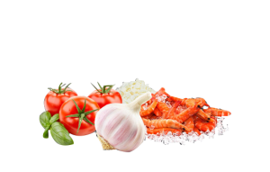 Gemberoni mrpizza 1.png